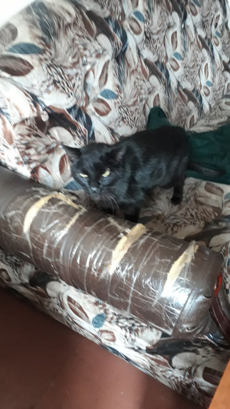 24D6786C-53D6-4DCC-B6A2-9A728418A0B6