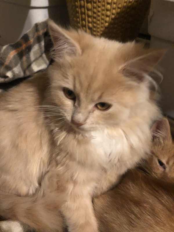 F238EA3D-F07F-47AB-9216-42EBA674B585