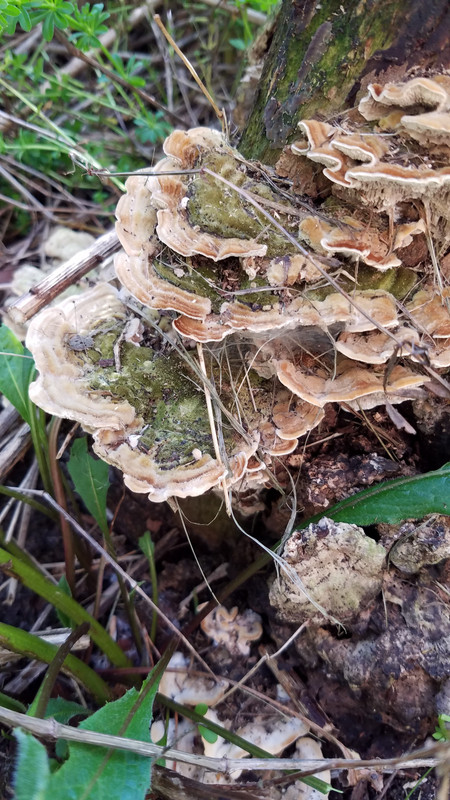 20181010_155731