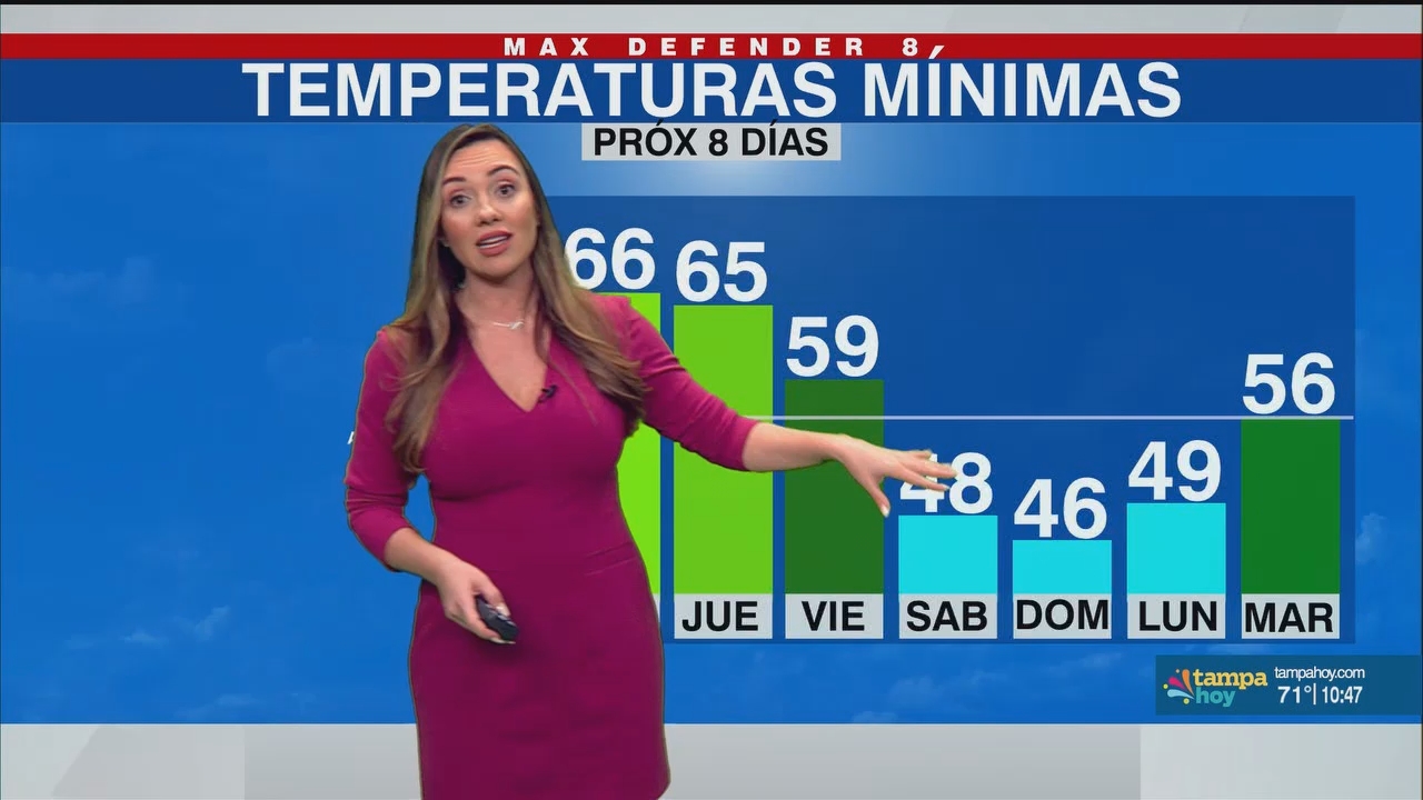 Noticias Tampa Hoy_20241217_03300400.ts_snapshot_18.19.527