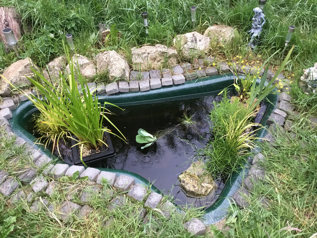 8F8A28E2-047D-4096-8D02-81F928A80283