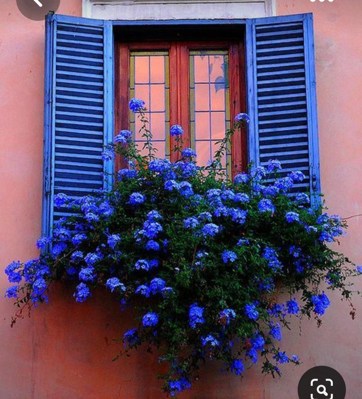 Screenshot_20230802_002820_Pinterest