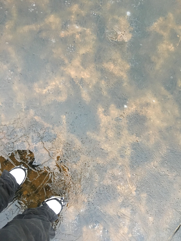 68B1EEFF-68FE-4247-A4CF-2B81A8169105