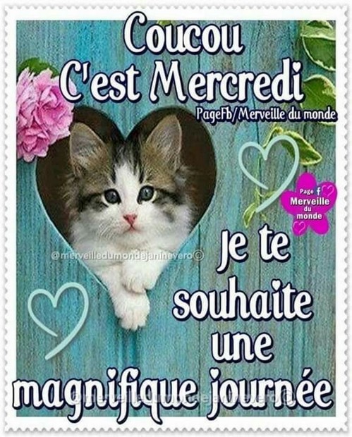 mercredi-chatt