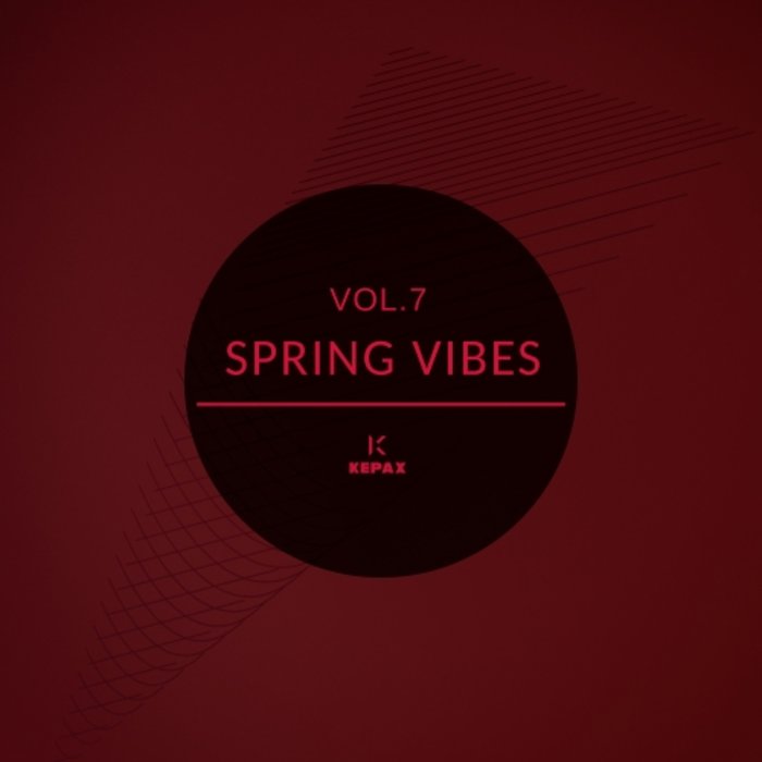 Spring Vibes Vol 7 (2020) mp3 320 Kbps