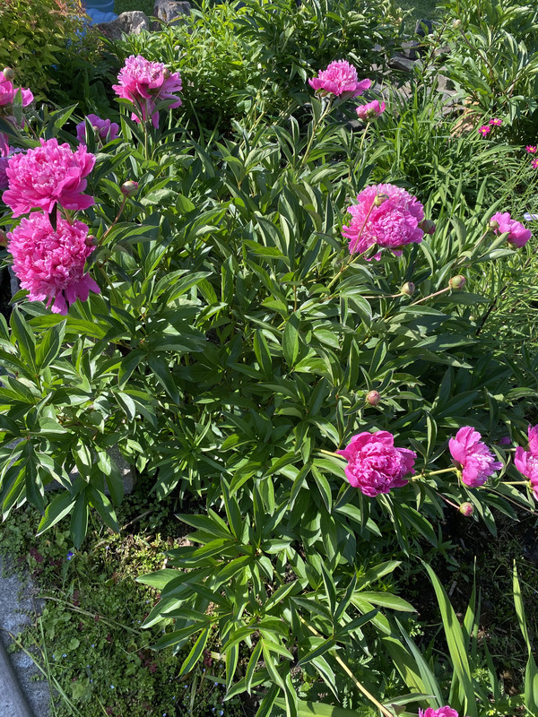 48645FD9-4983-47A3-8489-192B38554D5F