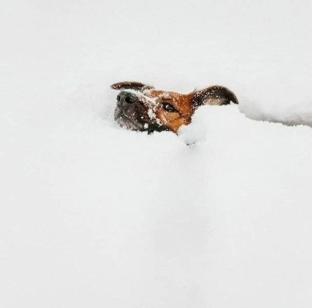 Awesome-16