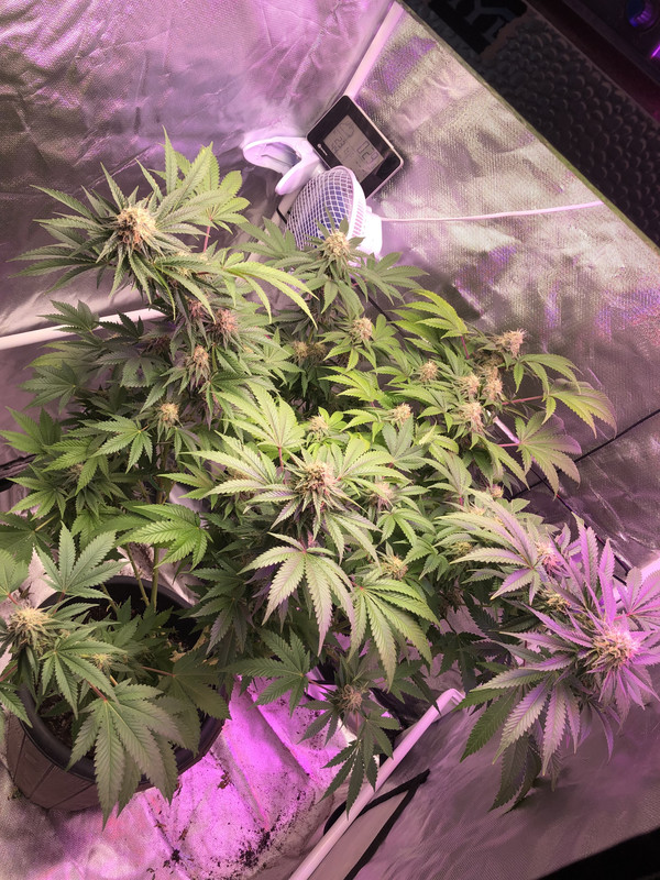 31B2DE34-F17F-4ECF-966C-BCEE728EAA1A