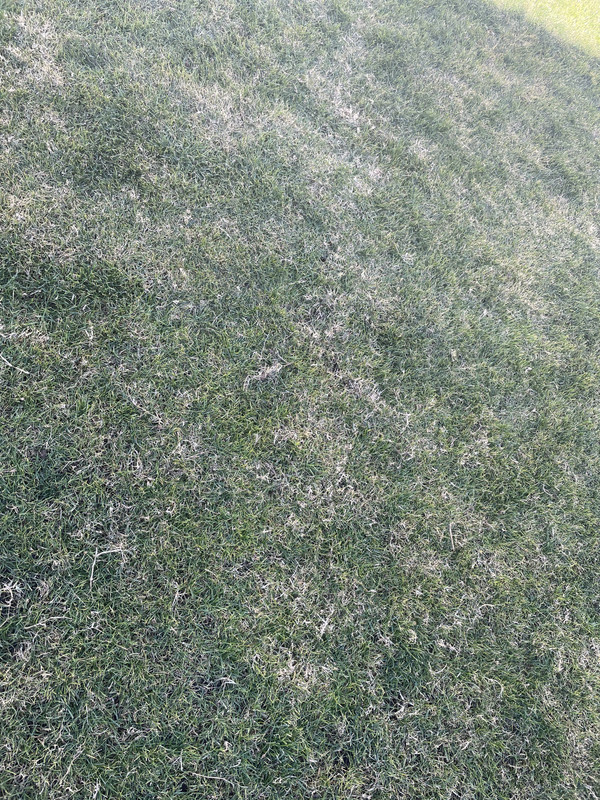 ECECA640-FC30-486E-970E-69B1F6AE0541