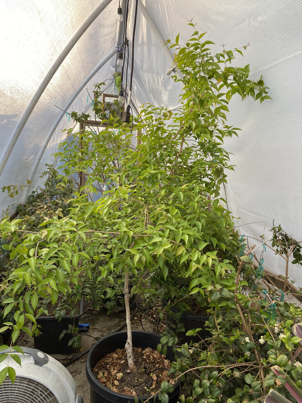 7F793310-D40B-455D-8729-1EFCCD75CBE2