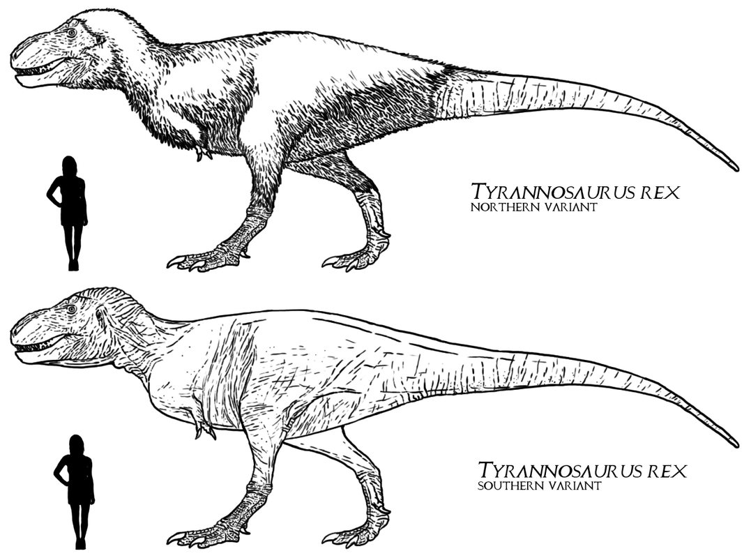 c32462aa5130043e90ab3bf3a61d7733