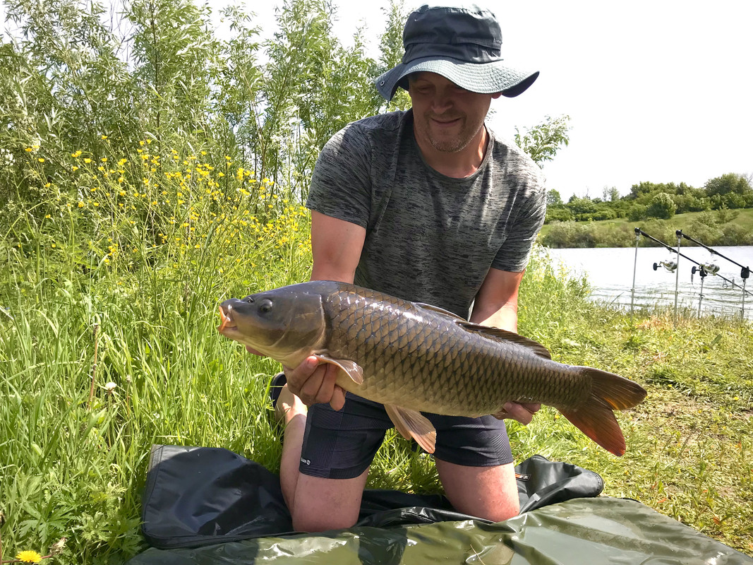 81C33410-0206-45AF-ADCE-944BEAFD5738