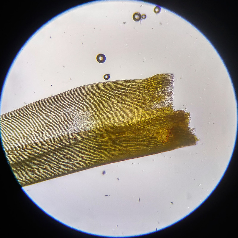 IMG 20250614 111207 HDR