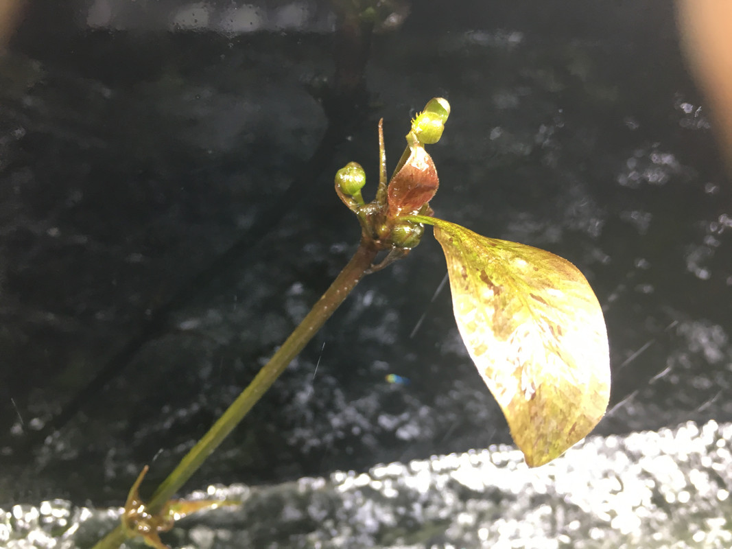 D04206EA-D1EE-42EF-B780-060039A5B305