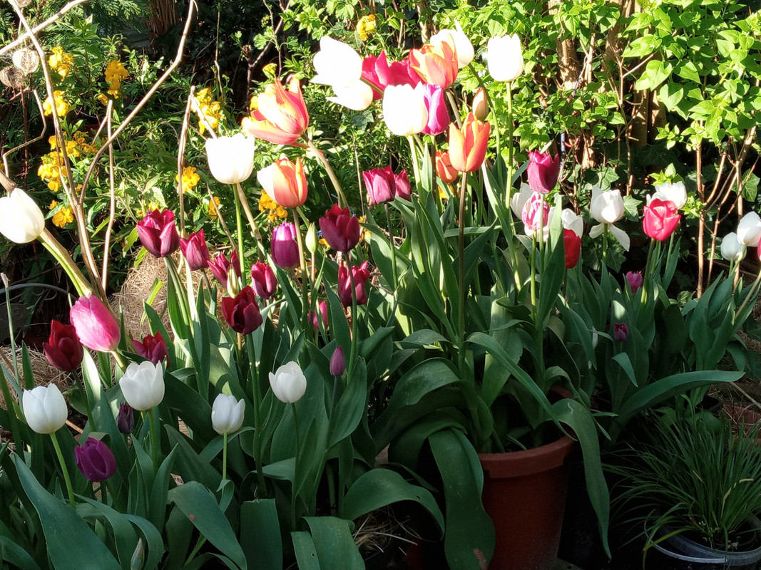 [Image: 20220414-183026.jpg]