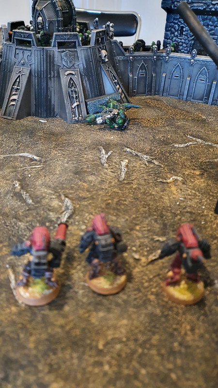 20211101_Salamanders_Taus (12)