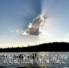 [Image: IMG-0242.jpg]