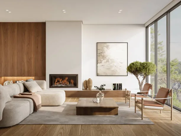 Modern living room rugs