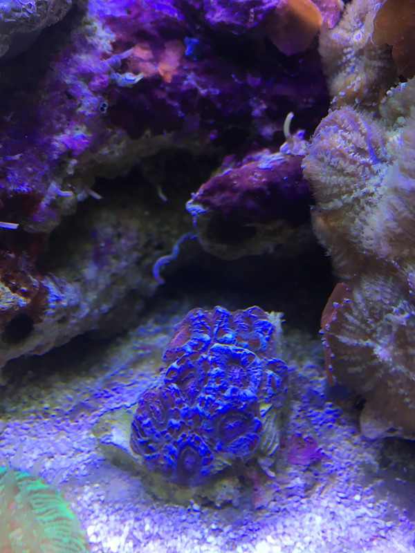 C2E65782-9D04-4EAD-9D26-6E978522BE9B