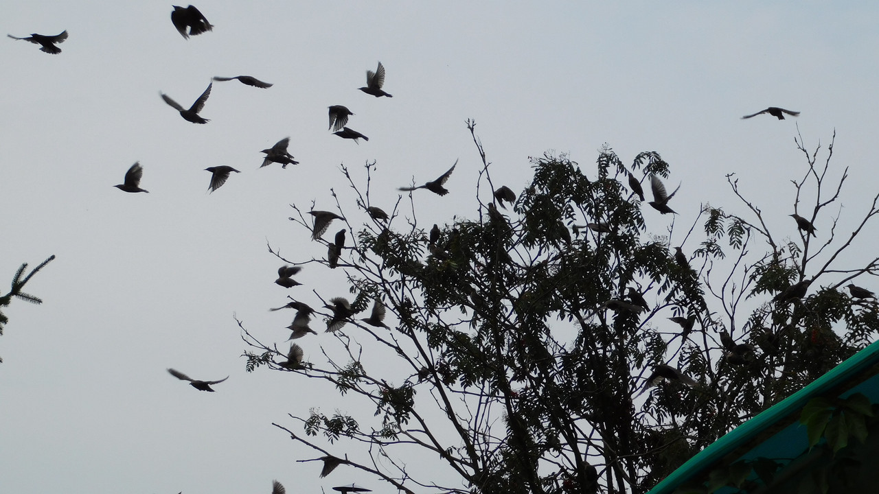 Август дачный кукольный 2023 254