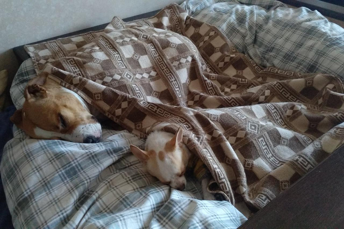 71A05582-507A-4F4D-A7A3-8C34ACE29453