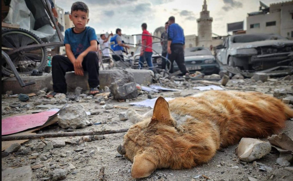 Tag animales en REDPRES.COM Gaza