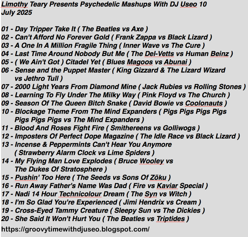Limothy-Teary-Presents-Psychedelic-Mashups-With-DJ-Useo-vol-10-back.png