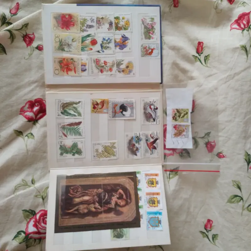 image (13)