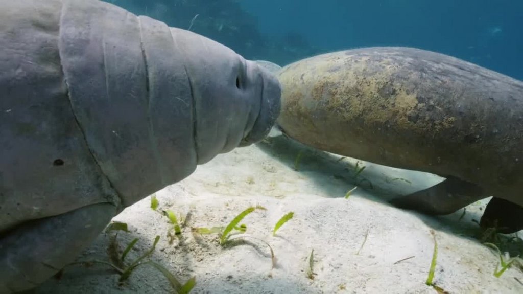 [Image: c8fblu9tq2p9.jpg]