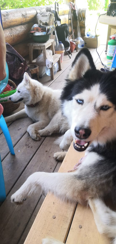 F858BC88-61EA-46EE-A745-D260CE82EF7A