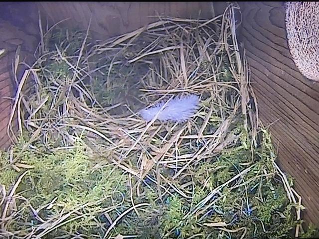 48A239EC-C2AD-424C-A7B6-F91E92E75205