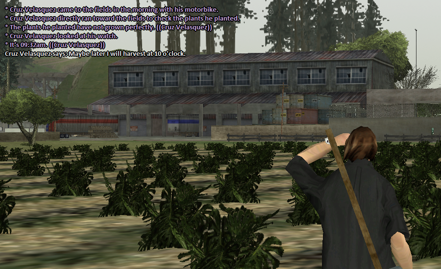F13.png
