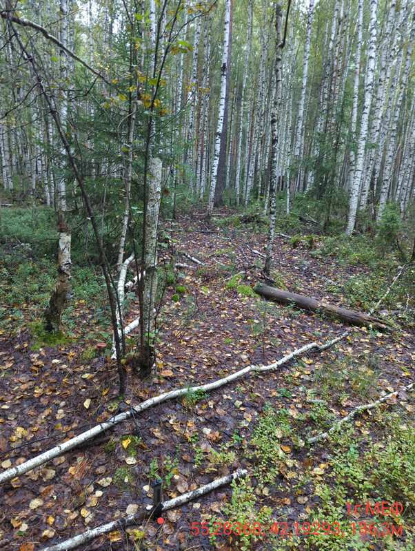 IMG 20240711 065117 2