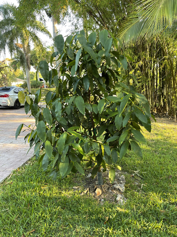 A093F9CB-AC08-409C-95A2-6211E4C46BE6