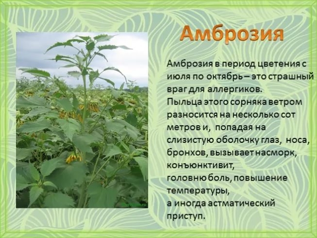 69D6F306-9239-4273-9053-5EB38D3AC448