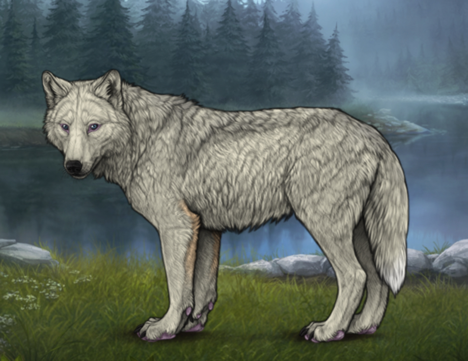 Chased Wolf Spotting - Revamped |:| Wolvden