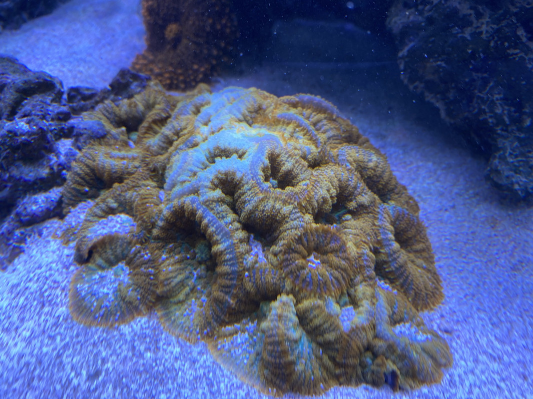 8A1B0695-3501-40AF-9947-49B611F9D546