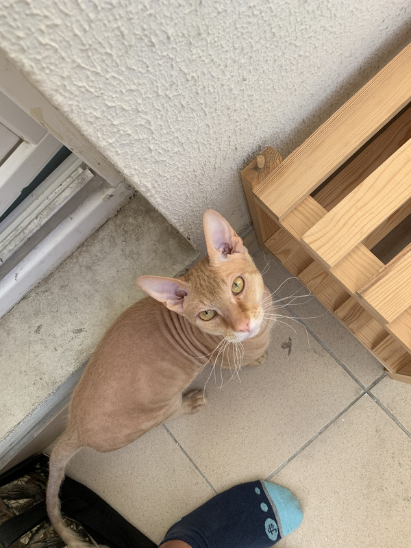 4BD7AC6C-9722-4C86-AFCF-DA615AA6EBB9