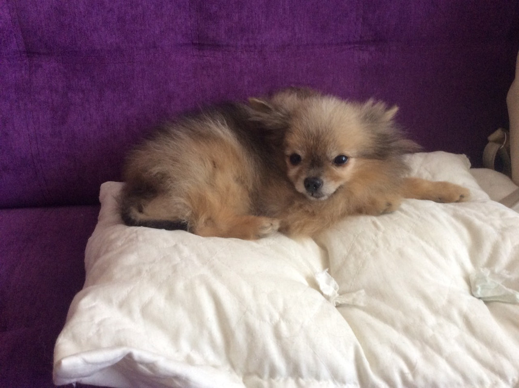 IMG-6bf6dbb8e6fd3ce3b9afc6340863f735-V