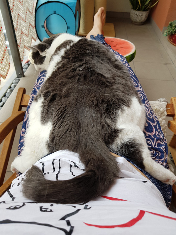 20190526-111211.jpg
