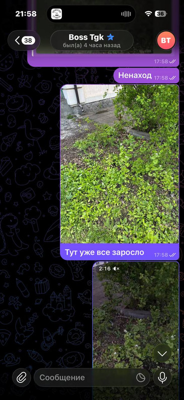 IMG 20260504 140040 433