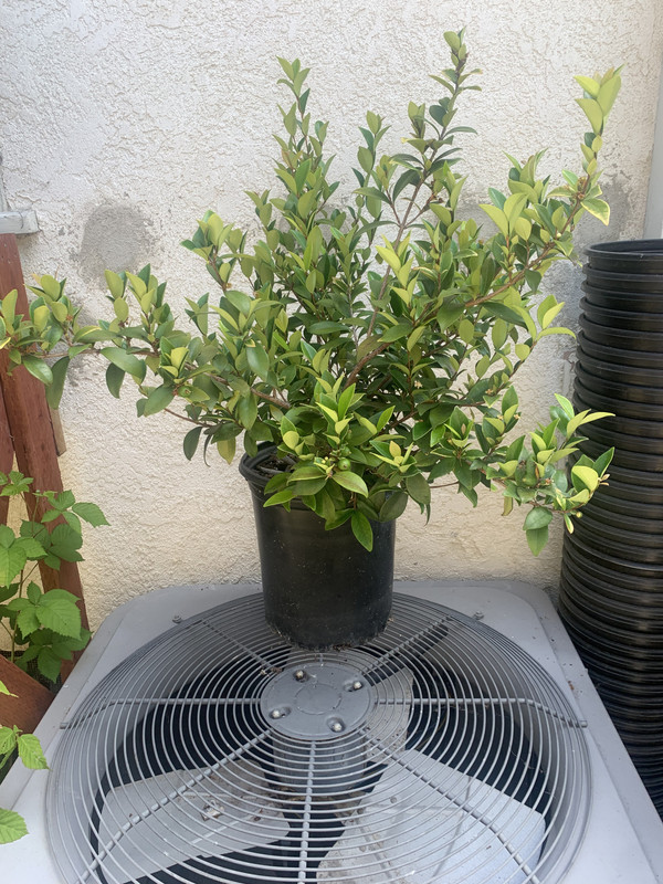 73BF02BE-6F77-49A9-8797-DE9A3E39533C