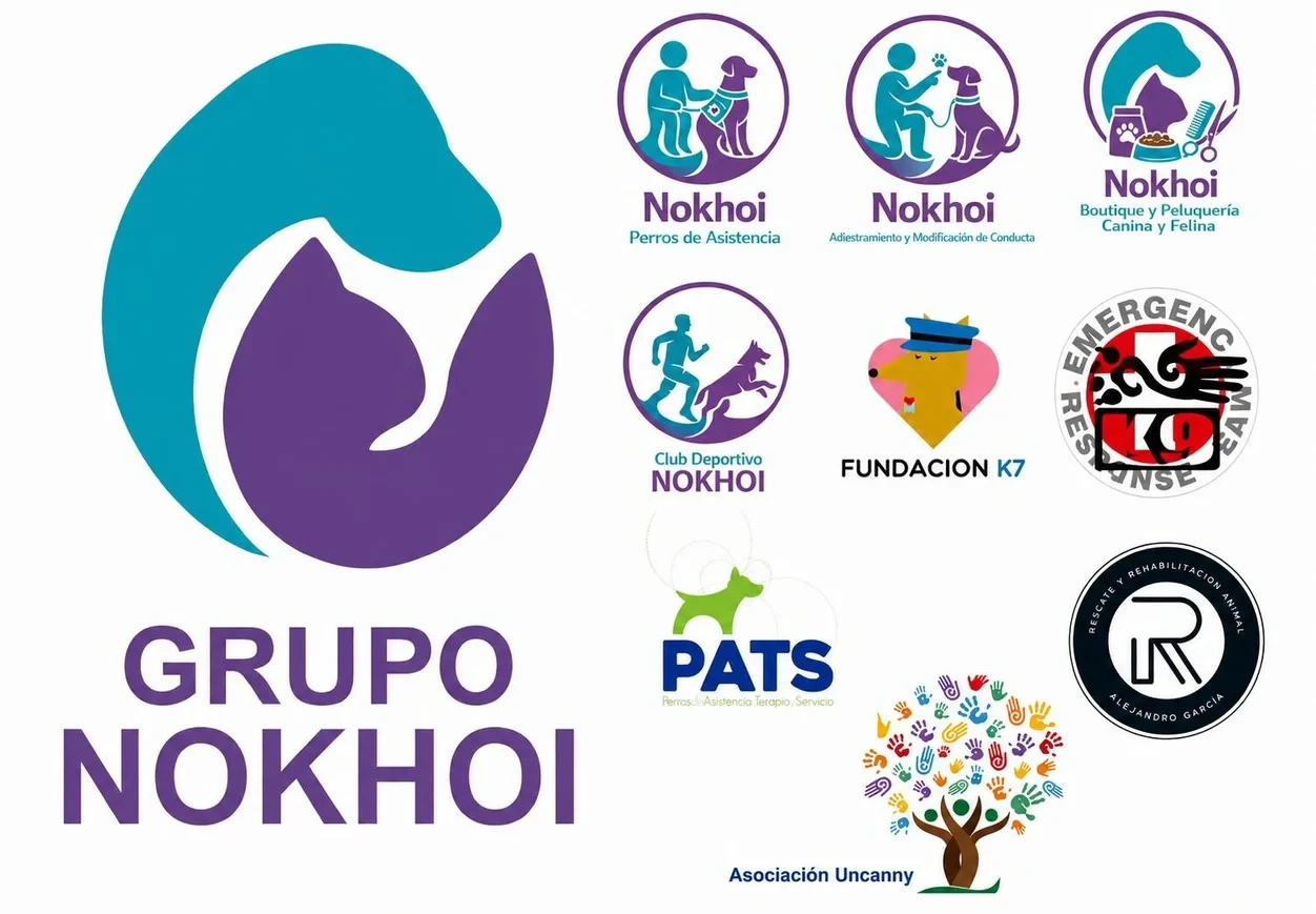 Equipo y Colaboradores Grupo Nokhoi