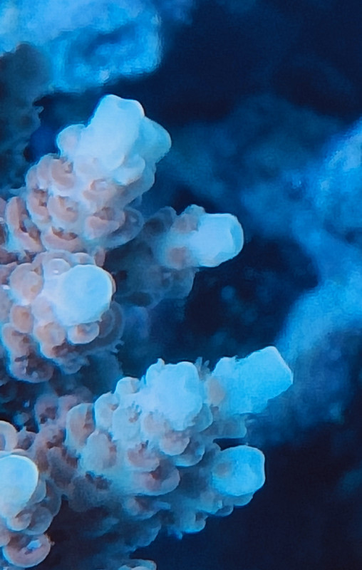 IMG 20261013 205251