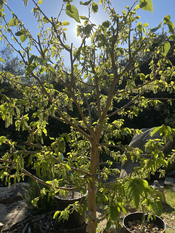 B4F32332-3728-4712-A624-6E172CD09448