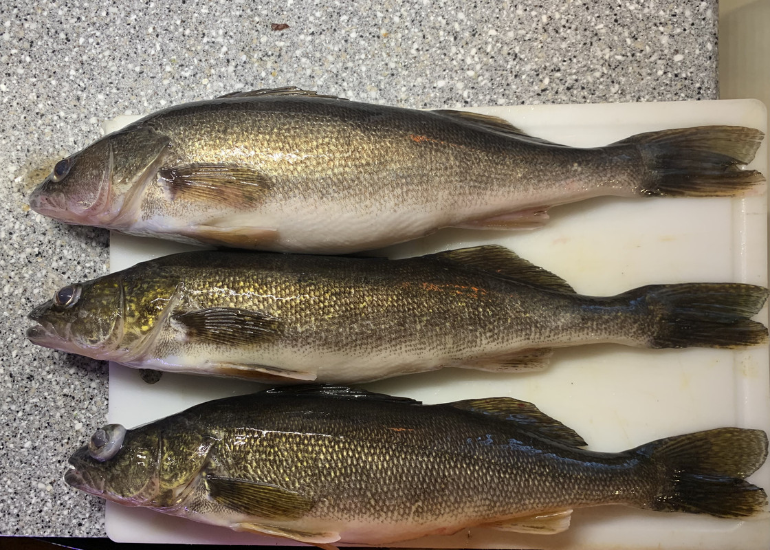 E6322F5C-5783-4F53-8004-02CB20C62275