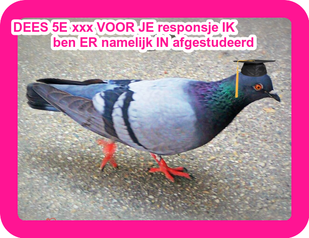 jpg-1.png