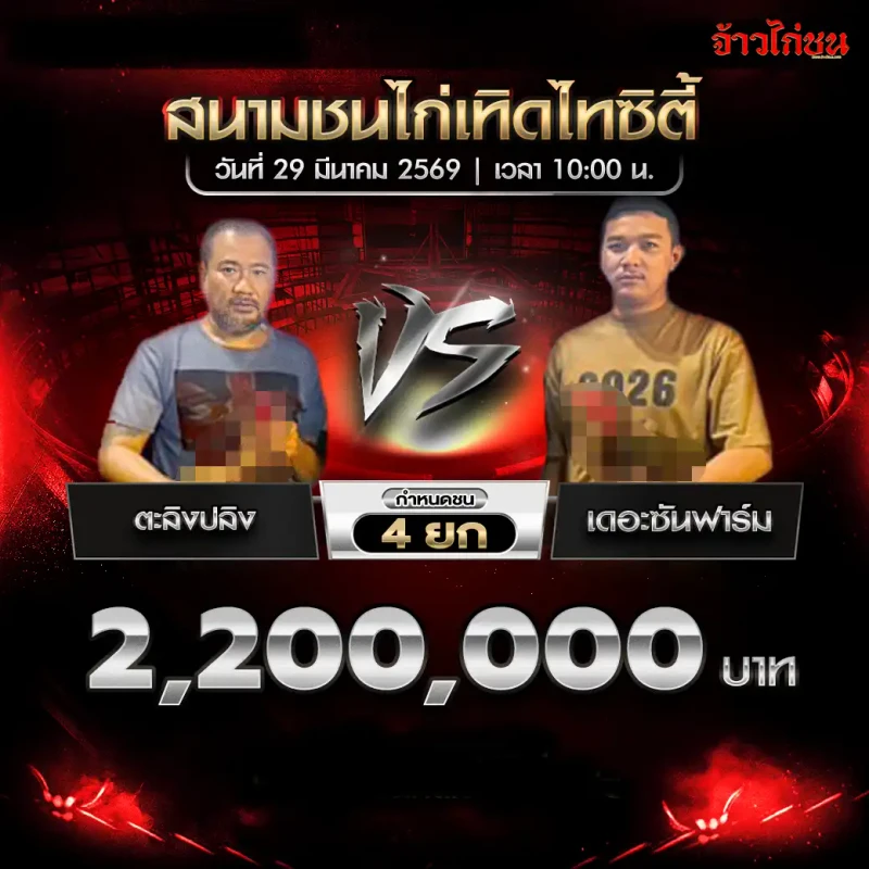 ตะลิงปลิง พบ เดอะซันฟาร์ม โปรแกรมไก่ชน สนามชนไก่เทิดไทซิตี้ 29 มีนาคม 2569
