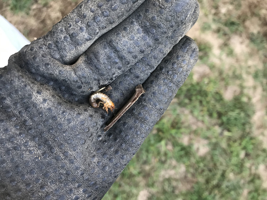 F0F52770-E9F4-460A-93EA-9EAFDACF5481