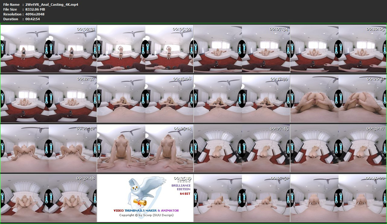 03082023160317screenshot